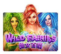 WILD FAIRIES